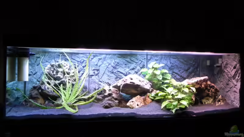 Aquarium Hauptansicht von Becken 14942 von Max1 (1)