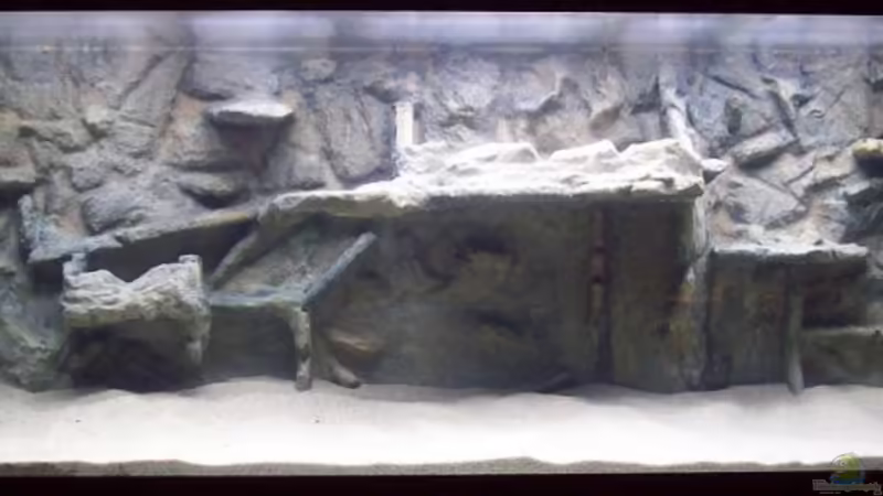 Aquarium Hauptansicht von Becken 14993 von Vili (1)