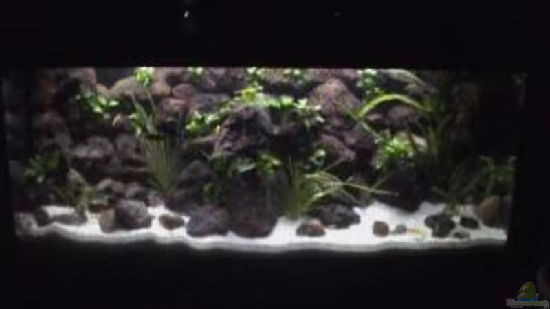 Aquarium Hauptansicht von Becken 1534