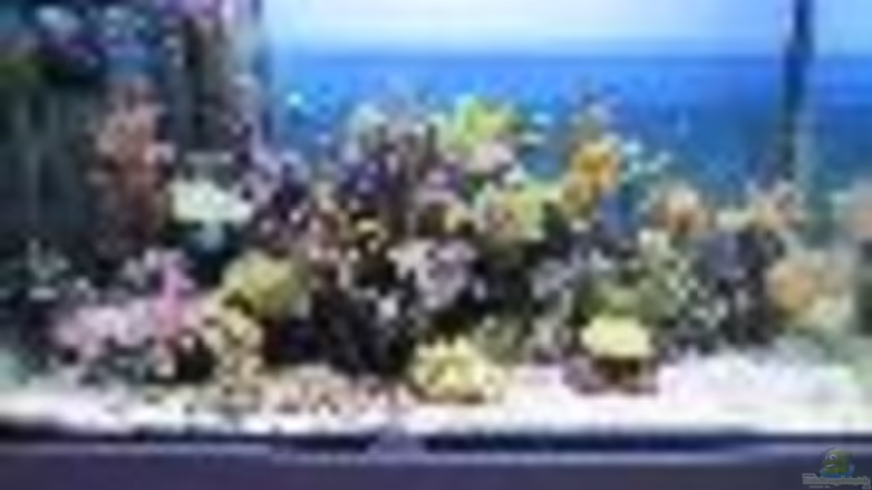 Aquarium Hauptansicht von Becken 15549 von water13 (1)