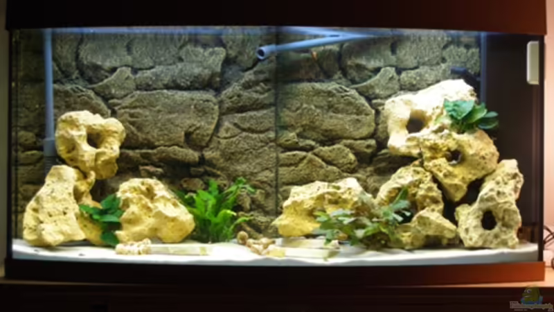 Aquarium Hauptansicht von Becken 1568 von Klaus Lange (1)