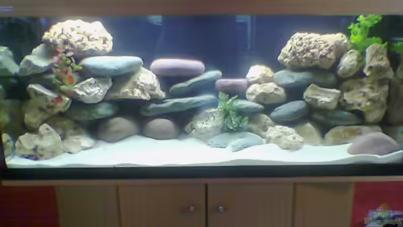 Aquarium Hauptansicht von Becken 1573 von Dirk Giebken (1)