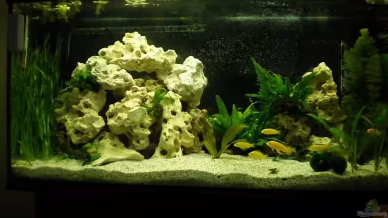 Aquarium Hauptansicht von Becken 16030