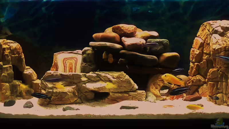 Aquarium Hauptansicht von Becken 16346