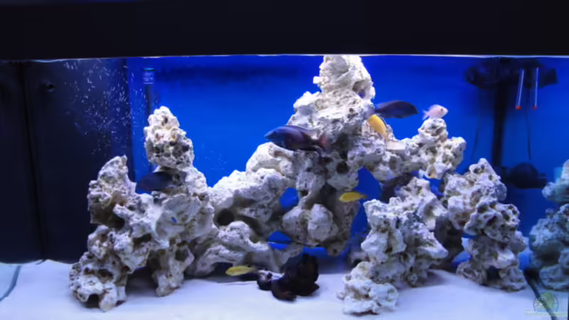 Aquarium Hauptansicht von Becken 16352