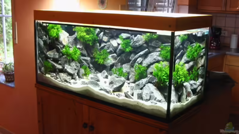 Aquarium Hauptansicht von Becken 1640 von Klaus Kussmann (1)