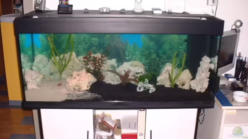 Aquarium Hauptansicht von Becken 1658 von Detlef Hasselbach (1)