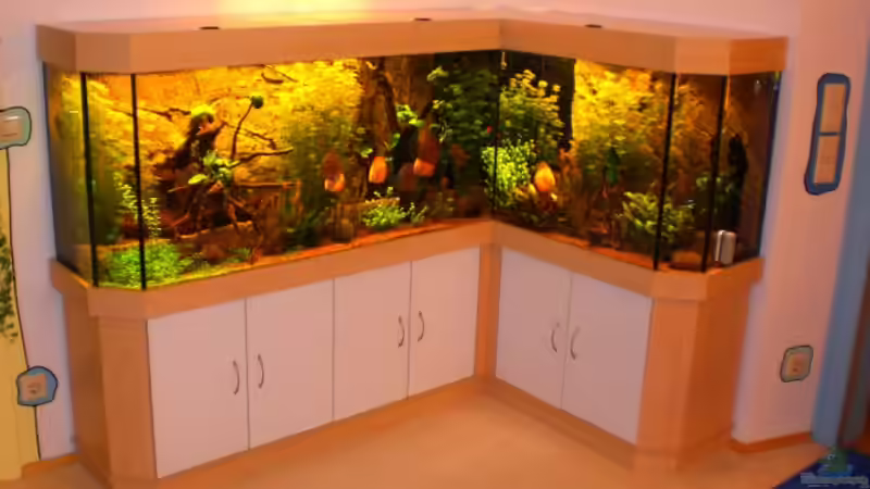 Aquarium Hauptansicht von Becken 16618