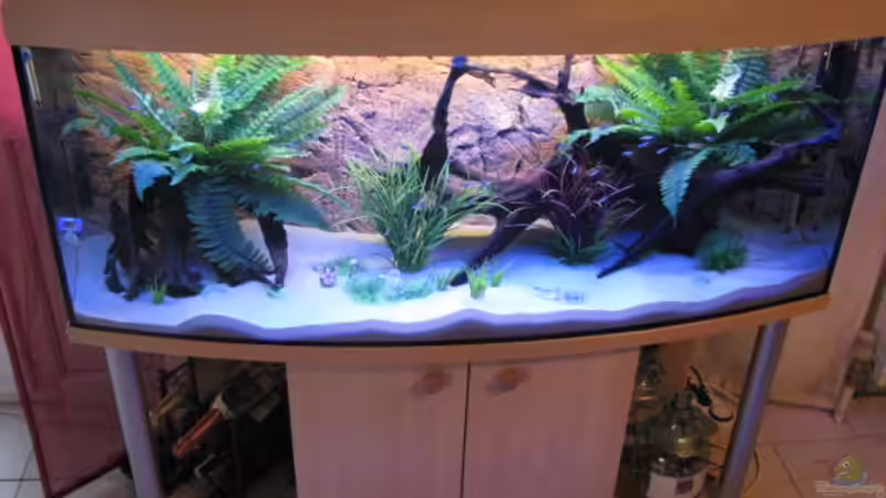 Aquarium Hauptansicht von Becken 16956 von Frank Heyssler (1)