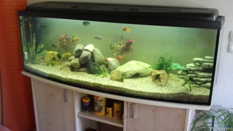 Aquarium Hauptansicht von Becken 17115 von Mark M (1)