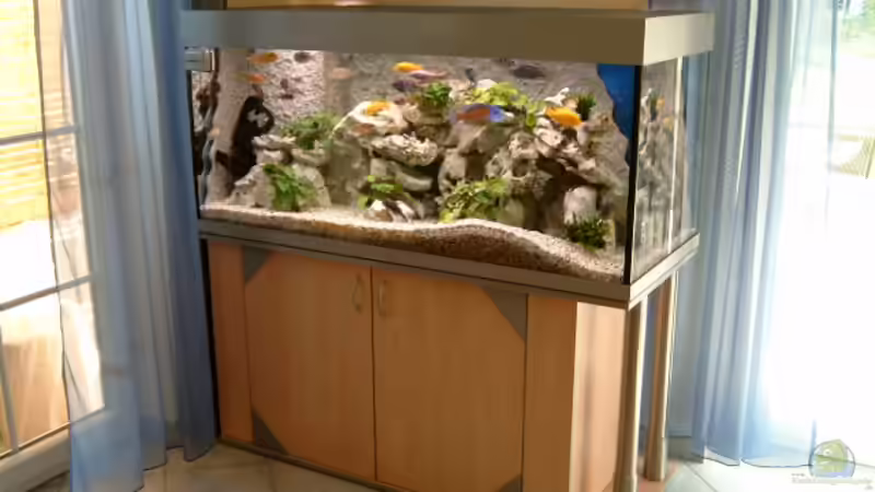 Aquarium Hauptansicht von Becken 1712