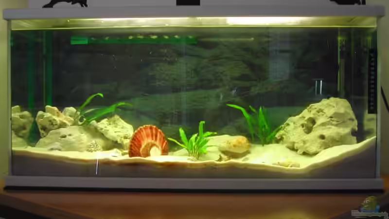 Aquarium Hauptansicht von Becken 1719 von Dirk Schepmann (1)