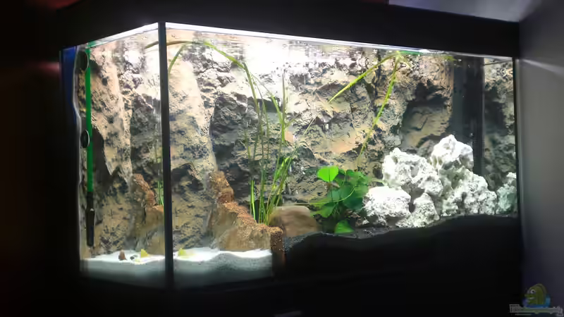 Aquarium Hauptansicht von Becken 17446