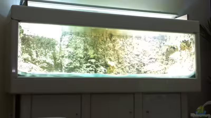 Aquarium Hauptansicht von Becken 17453