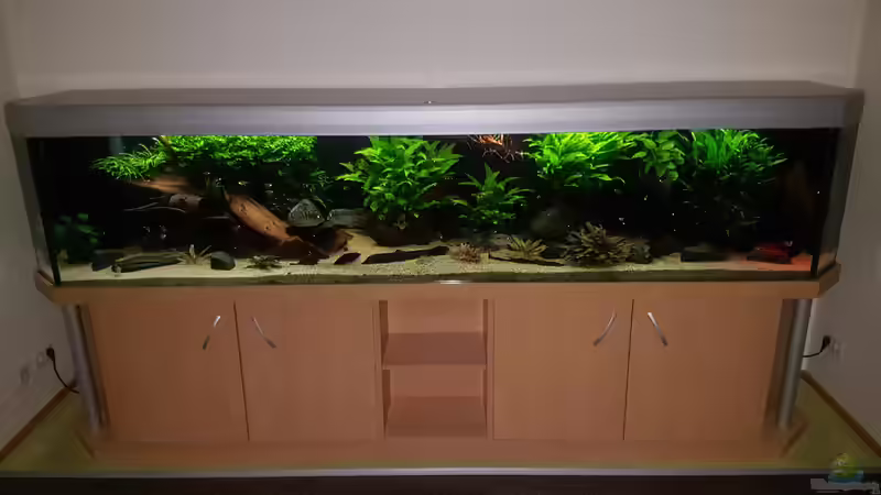 Aquarium Hauptansicht von Becken 18144 von adiskus (1)