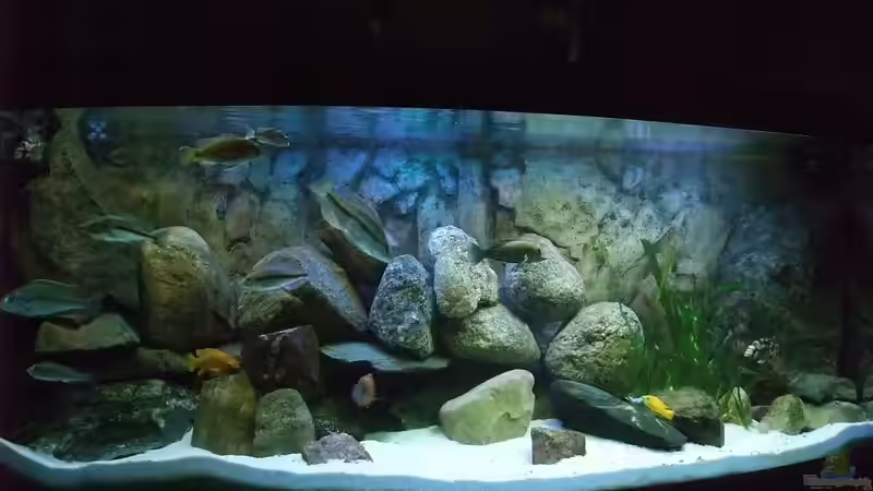 Aquarium Hauptansicht von Becken 18174