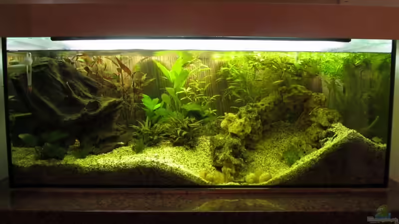 Aquarium Hauptansicht von Becken 18187