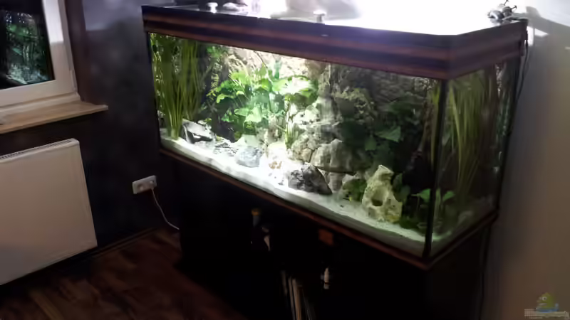 Aquarium Hauptansicht von Becken 18250 von Markusb (1)