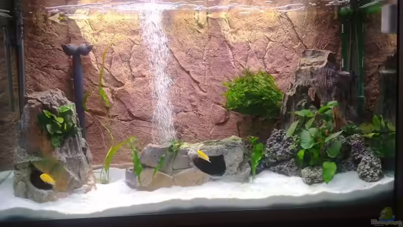 Aquarium Hauptansicht von Becken 18274