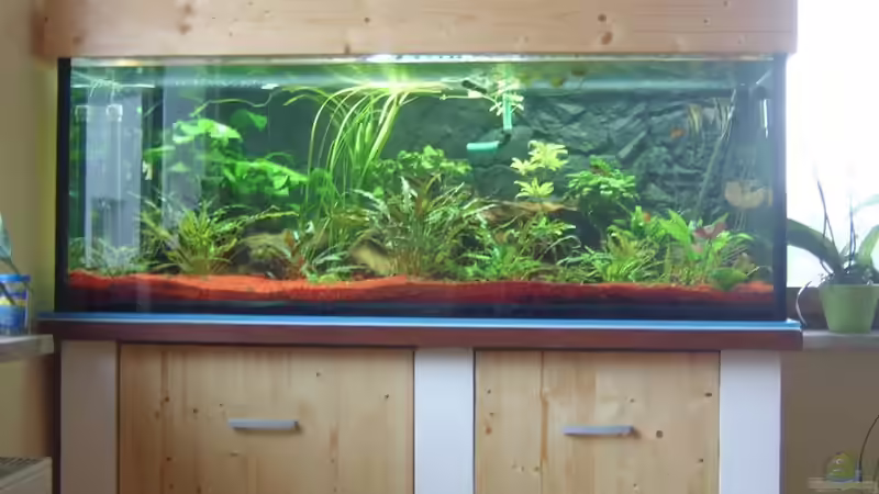 Aquarium Hauptansicht von Becken 18305 von Soulreaver112 (1)