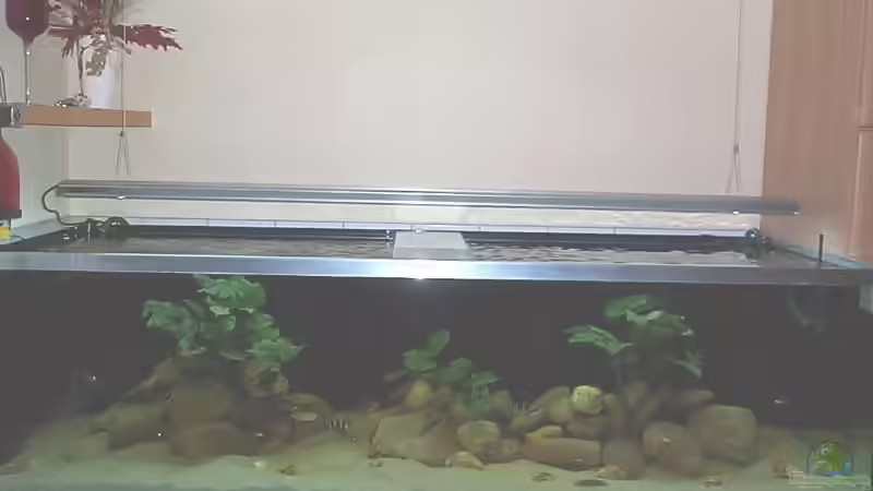 Aquarium Hauptansicht von Becken 1832