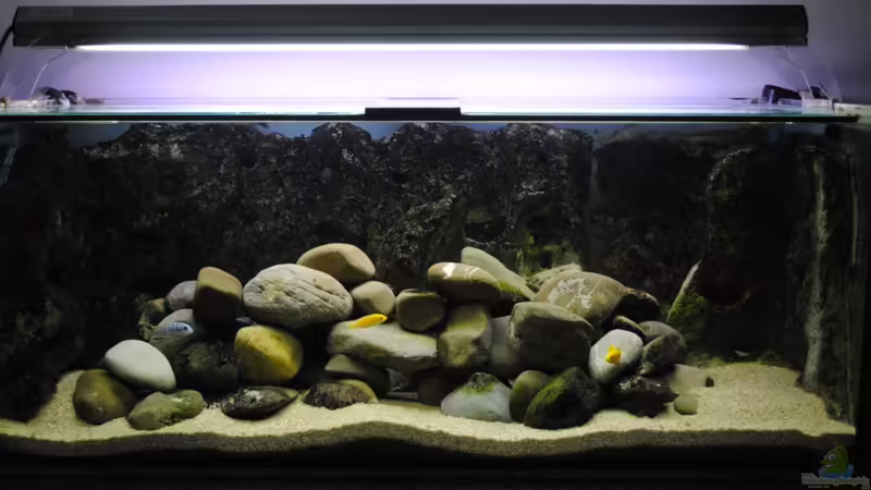 Aquarium Hauptansicht von Becken 18370