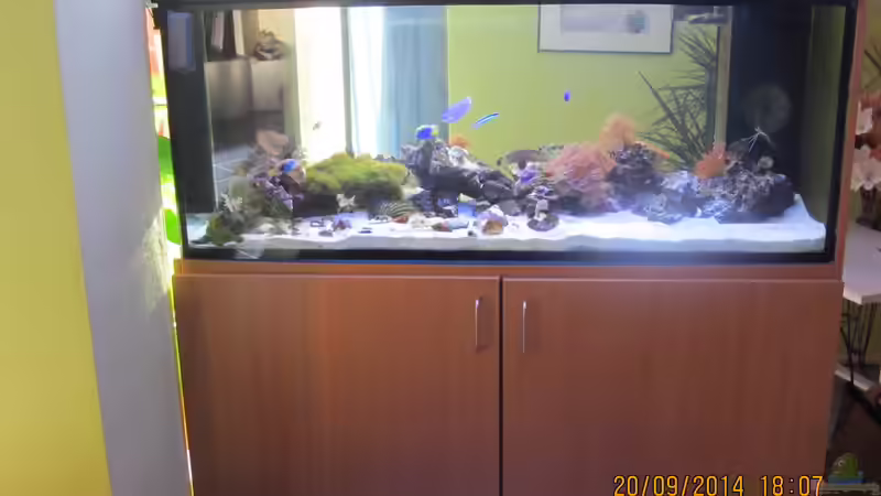 Aquarium Hauptansicht von Becken 18380