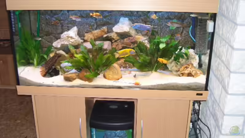 Aquarium Hauptansicht von Becken 1890 von Matthias Schmidt (1)