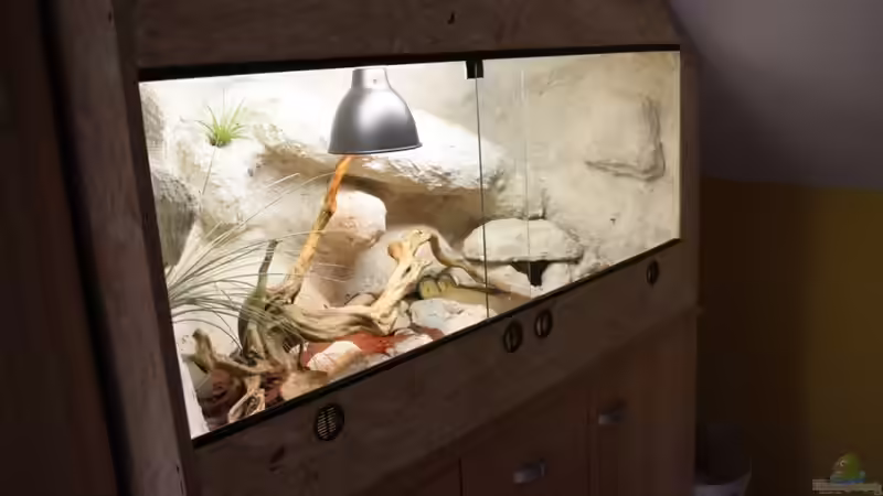 Aquarium Hauptansicht von Becken 18981