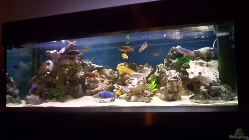 Aquarium Hauptansicht von Becken 1932 Aquarium Hauptansicht von Becken 1932