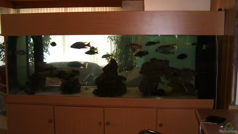 Aquarium Hauptansicht von Becken 196