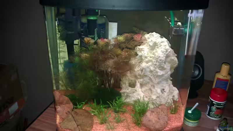 Aquarium Hauptansicht von Becken 19609 von Sven 85