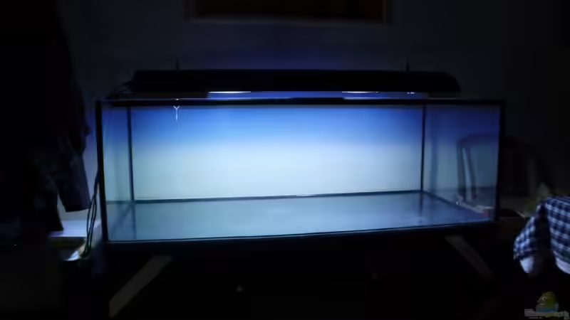 Aquarium Hauptansicht von Becken 19731 von johnK (1)