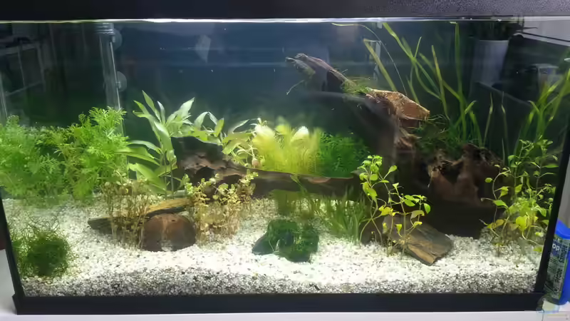 Aquarium Hauptansicht von Becken 2.0