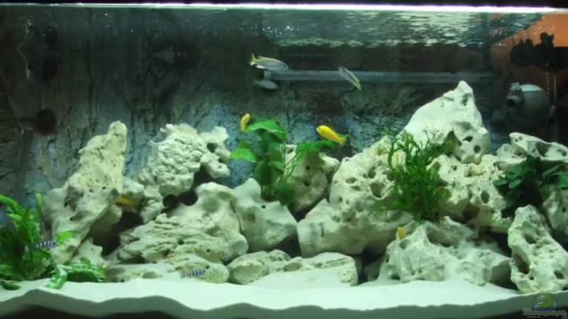 Aquarium Hauptansicht von Becken 2007