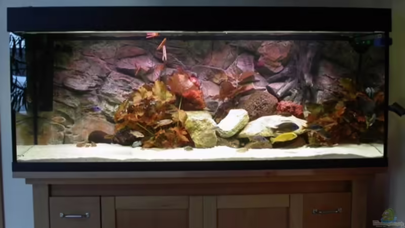 Aquarium Hauptansicht von Becken 2161