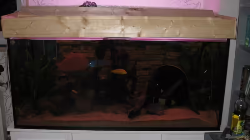 Aquarium Hauptansicht von Becken 21937