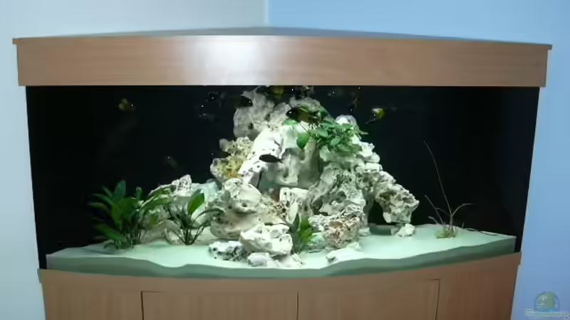 Aquarium Hauptansicht von Becken 223 von Stefan Franck (1)