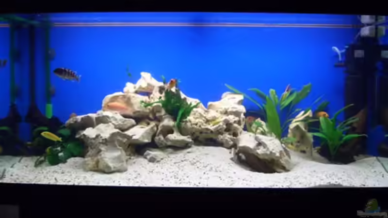 Aquarium Hauptansicht von Becken 2250