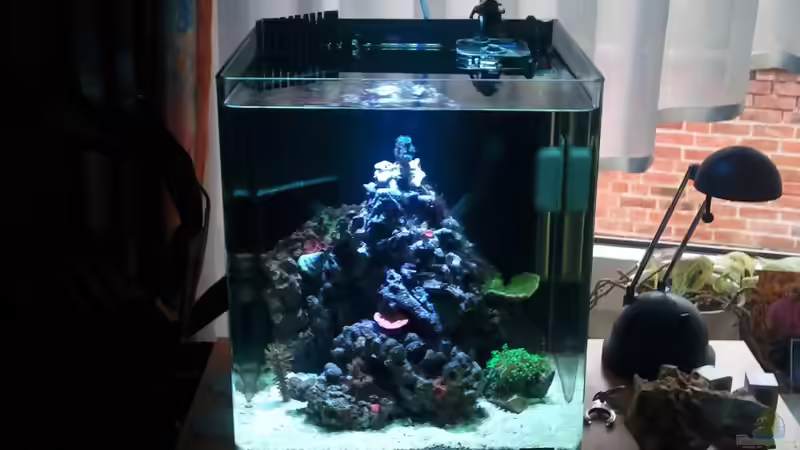 Aquarium Hauptansicht von Becken 22508