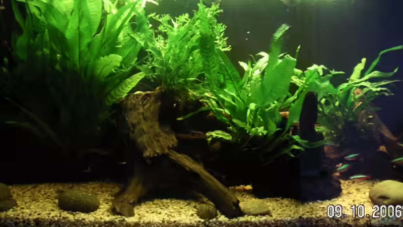 Aquarium Hauptansicht von Becken 2286 von Sebastian Zunhammer (1)