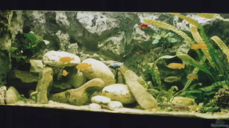 Aquarium Hauptansicht von Becken 2338