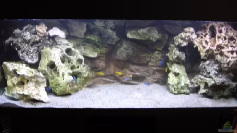 Aquarium Hauptansicht von Becken 2351 von Peter Seifert (1)