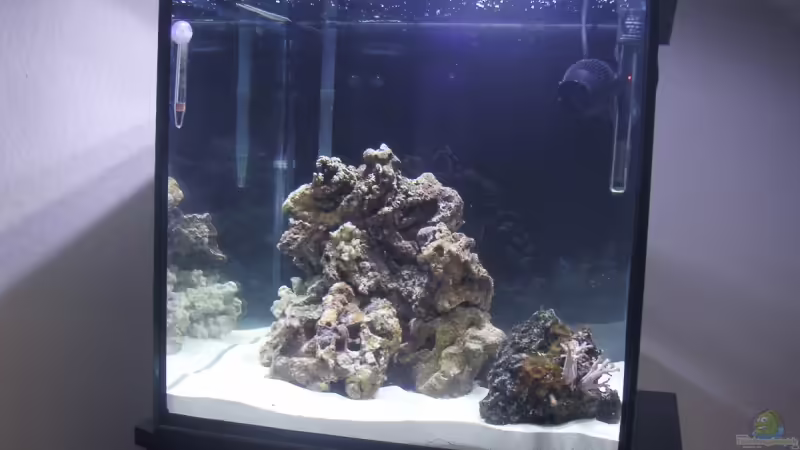 Aquarium Hauptansicht von Becken 2397 von Sebastian Zunhammer (1)