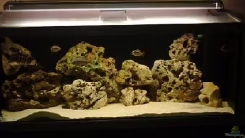 Aquarium Hauptansicht von Becken 243 von Matthias Knittel (1)