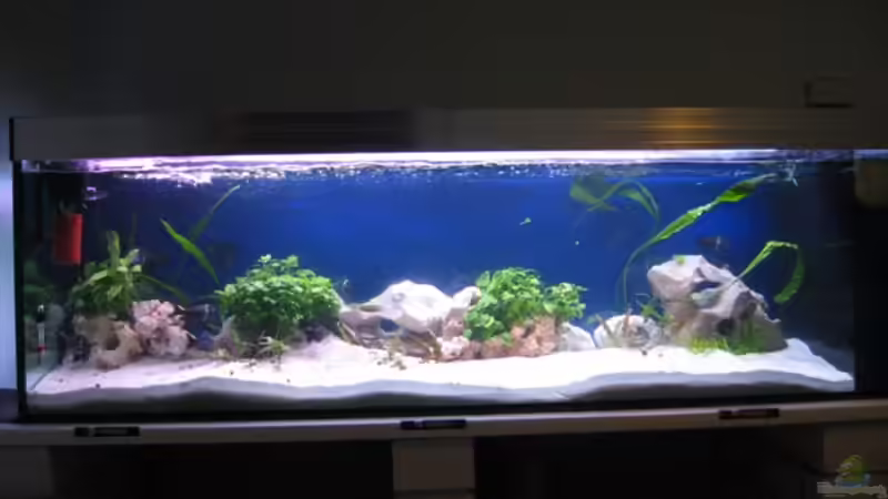 Aquarium Hauptansicht von Becken 2434 von Stefan Kleißle (1)