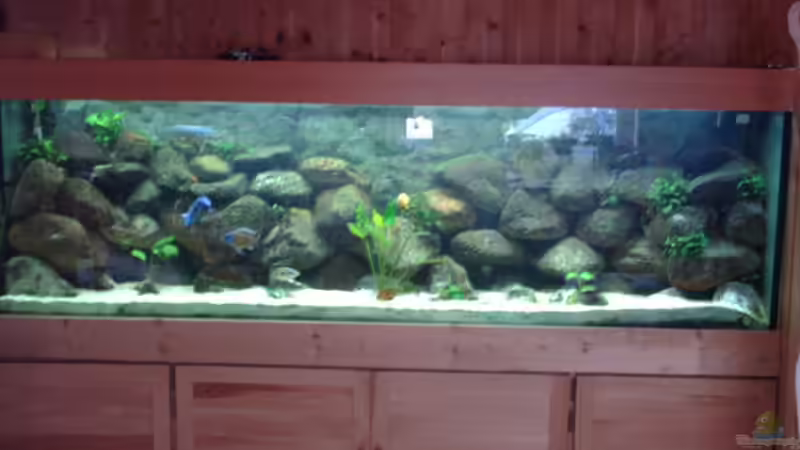 Aquarium Hauptansicht von Becken 2435 von Jens Szymaniak (1)