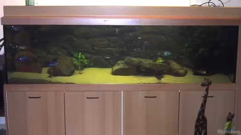 Aquarium Hauptansicht von Becken 2461 von Jan Kadletz (1)