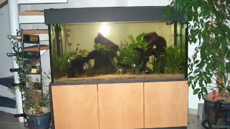 Aquarium Hauptansicht von Becken 2465