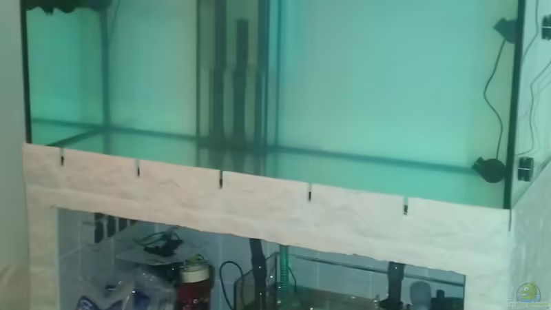 Aquarium Hauptansicht von Becken 25171 von Dirk Müller (1)